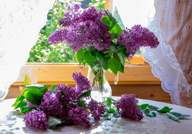 Обои картинки фото цветы, сирень, окно, букет