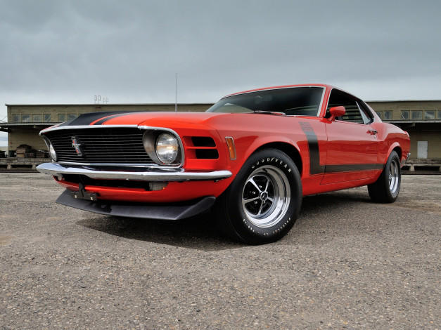 Обои картинки фото автомобили, mustang