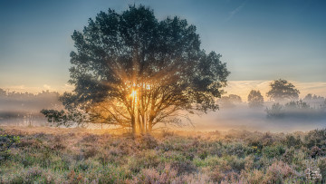 Картинка природа восходы закаты рассвет