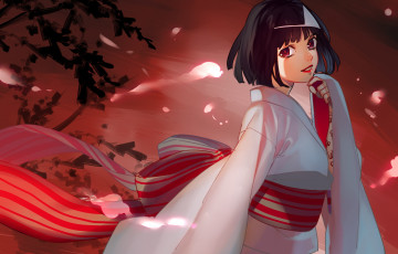 Картинка аниме noragami nora