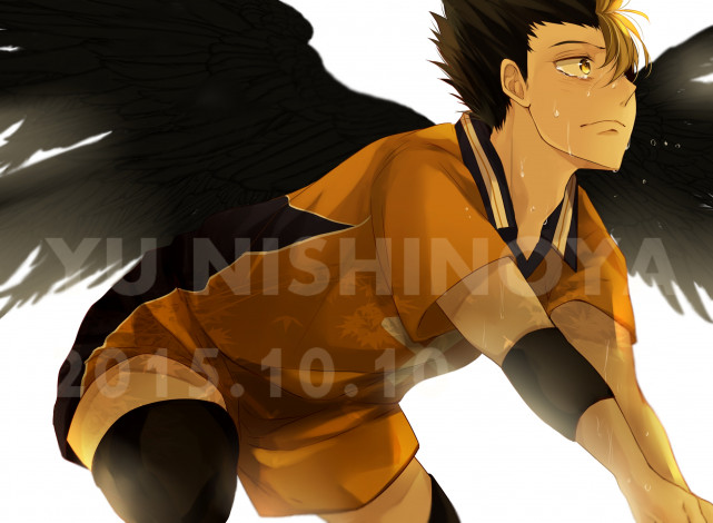 Обои картинки фото аниме, haikyuu, nishinoya, yuu