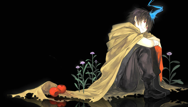 Обои картинки фото аниме, senyuu, ross