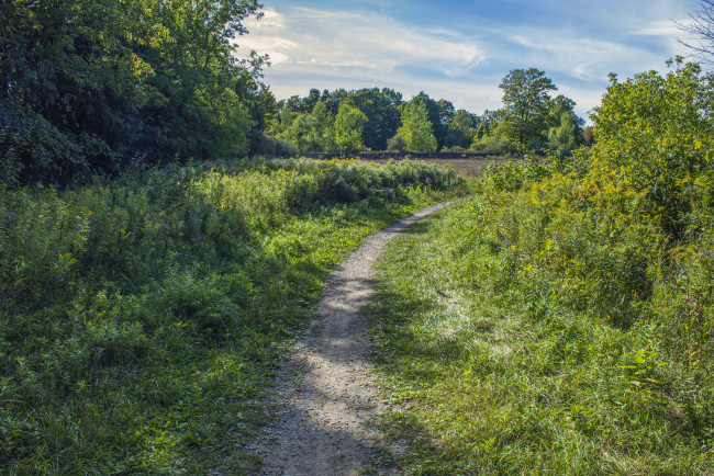 Обои картинки фото природа, дороги, тропа