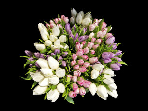 Картинка цветы тюльпаны черный tulips фон bouquets