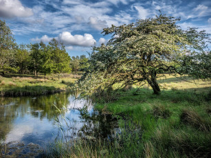 Картинка природа реки озера простор