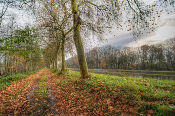 Картинка природа пейзажи простор