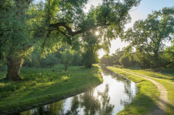 Картинка природа реки озера простор