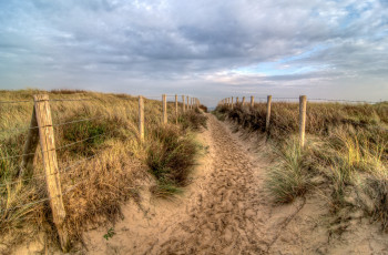 Картинка природа дороги простор