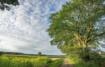 Картинка природа дороги простор