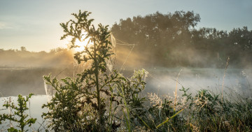 Картинка природа реки озера простор