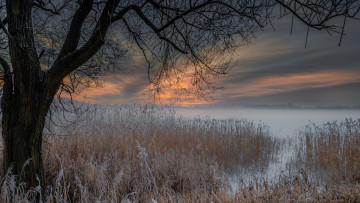 Картинка природа пейзажи простор