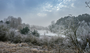 Картинка природа пейзажи простор