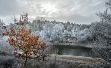 Картинка природа пейзажи простор