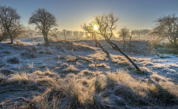 Картинка природа восходы закаты простор