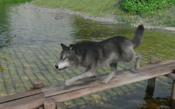 Картинка 3д+графика животные+ animals волк