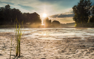 Картинка природа реки озера простор