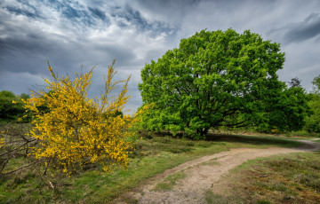 Картинка природа дороги простор