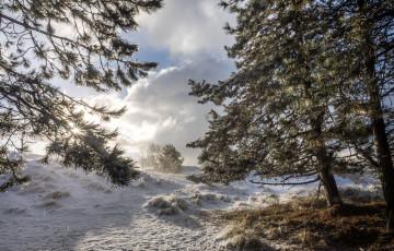 Картинка природа зима простор