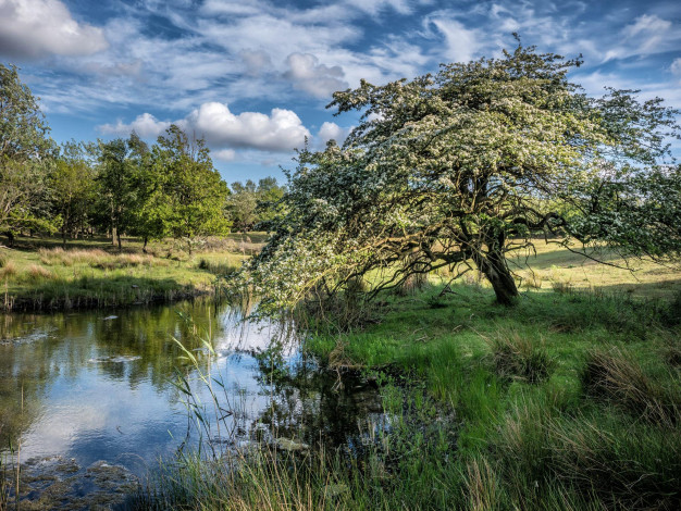 Обои картинки фото природа, реки, озера, простор