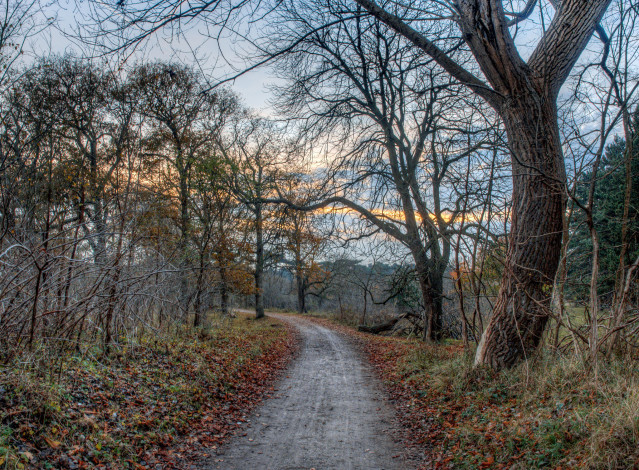 Обои картинки фото природа, дороги, простор