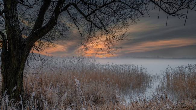 Обои картинки фото природа, пейзажи, простор