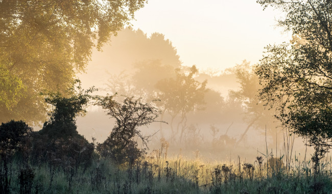 Обои картинки фото природа, пейзажи, простор