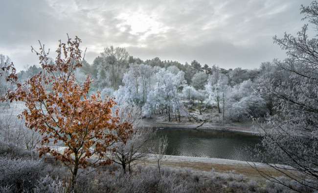 Обои картинки фото природа, пейзажи, простор