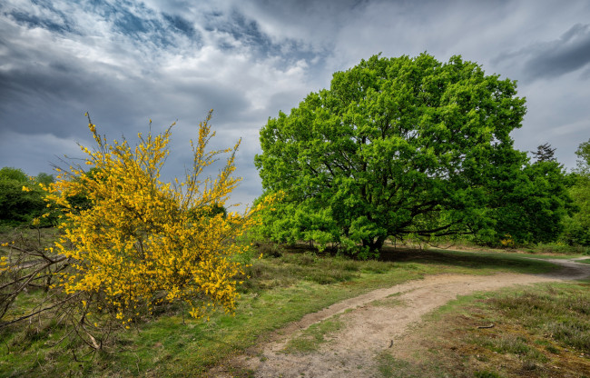 Обои картинки фото природа, дороги, простор