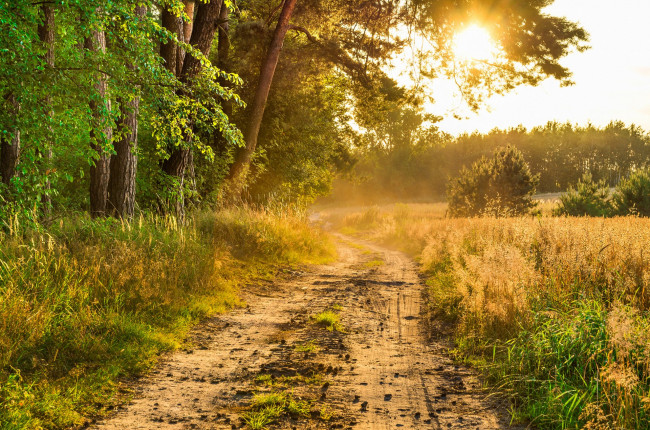 Обои картинки фото природа, дороги, простор