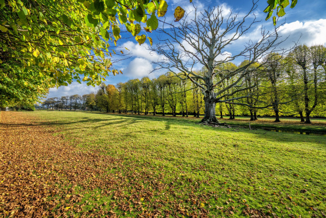 Обои картинки фото природа, пейзажи, простор