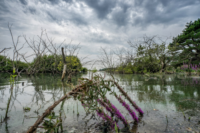 Обои картинки фото природа, реки, озера, простор