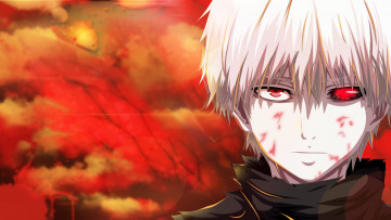 Картинка аниме tokyo+ghoul tokyo ghoul