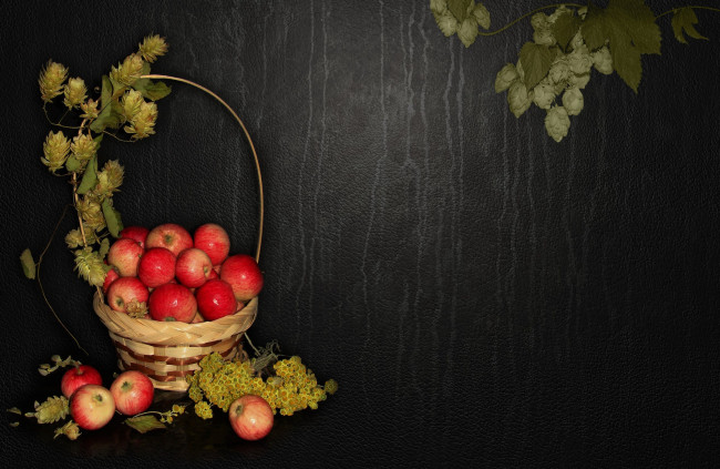 Обои картинки фото еда, Яблоки, beauty, beautiful, хмель, bride, nice, elegantly, wedding, delicate, корзинка, красивые, природа, настроение, яблоки, красота, bouquet, cool, harmony, обои, на, рабочий, стол