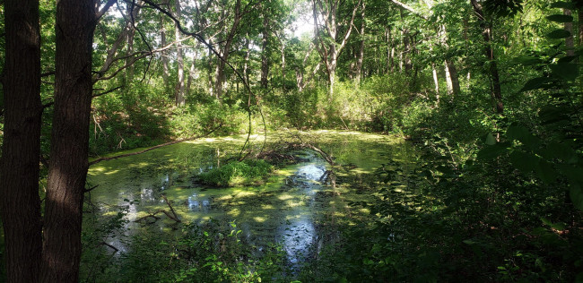 Обои картинки фото природа, реки, озера, пруд