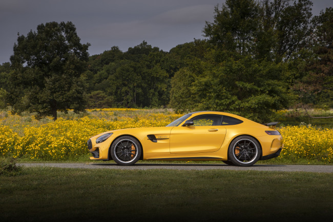 Обои картинки фото автомобили, mercedes-benz, mercedes