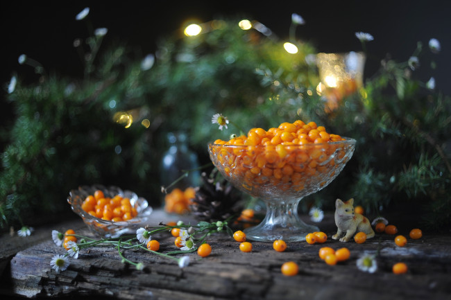 Обои картинки фото еда, фрукты,  ягоды, ягоды, облепиха, ваза