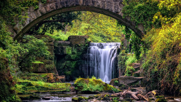 Картинка jesmond+dene+waterfall england природа водопады jesmond dene waterfall