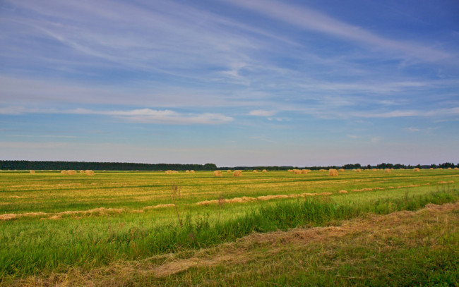 Обои картинки фото природа, поля, поле, небо