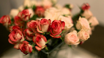 Картинка цветы розы букет