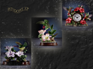 Картинка из серии красота спасет мир компьютеры windows xp