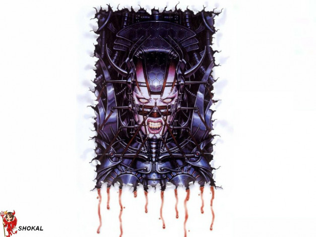 Обои картинки фото фэнтези, роботы, киборги, механизмы