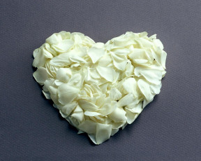 Картинка цветы