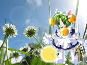 Картинка аниме di gi charat