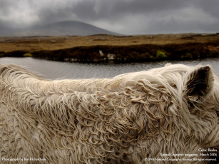Картинка разное