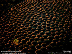 Картинка разное