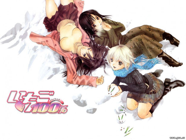 Обои картинки фото аниме, ichigo, 100%