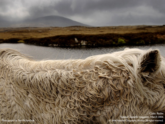 Обои картинки фото разное