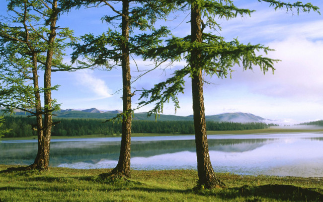 Обои картинки фото природа