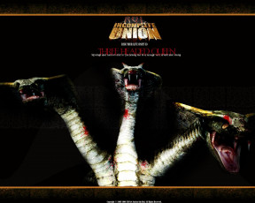 Картинка risk your life incomplete union видео игры