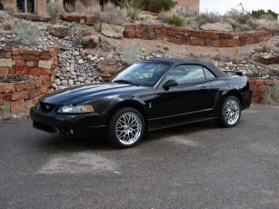 Картинка автомобили mustang